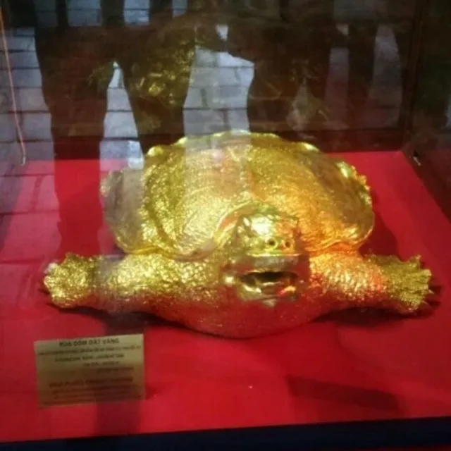 강하