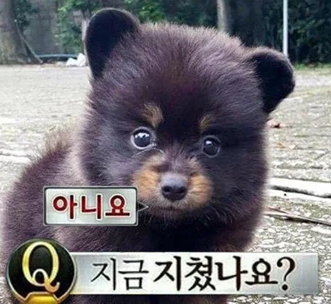 우루사