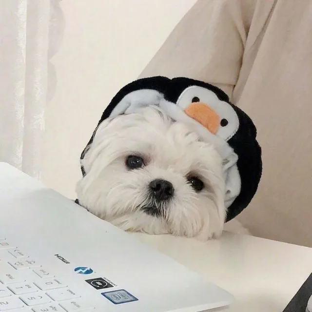 뿌루퉁
