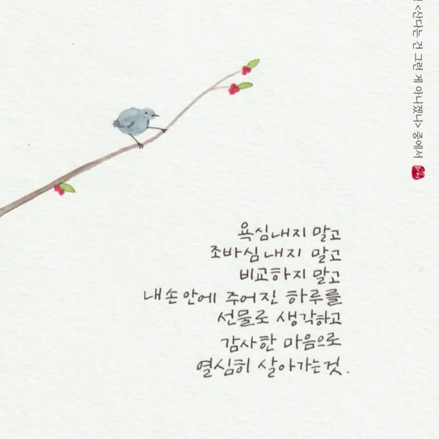 보리네