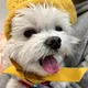 광주