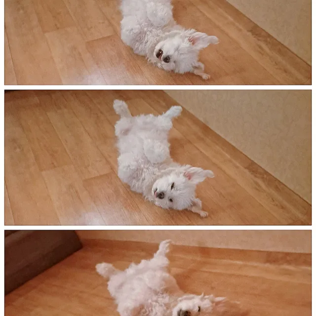 꾸꾸
