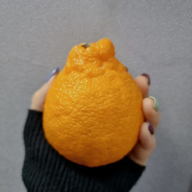 딸기죠아오렌지죠아