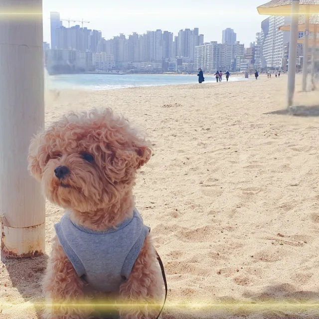 복실