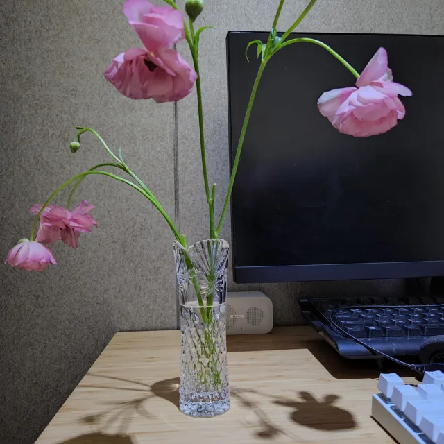 배캅