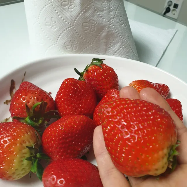 해피