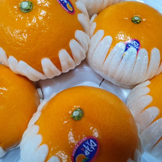 블루베리산딸기파인애플