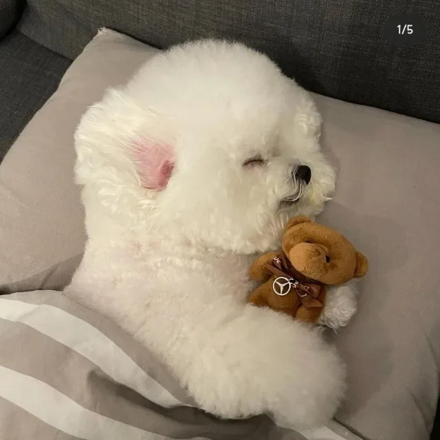쿨거래좋아용91
