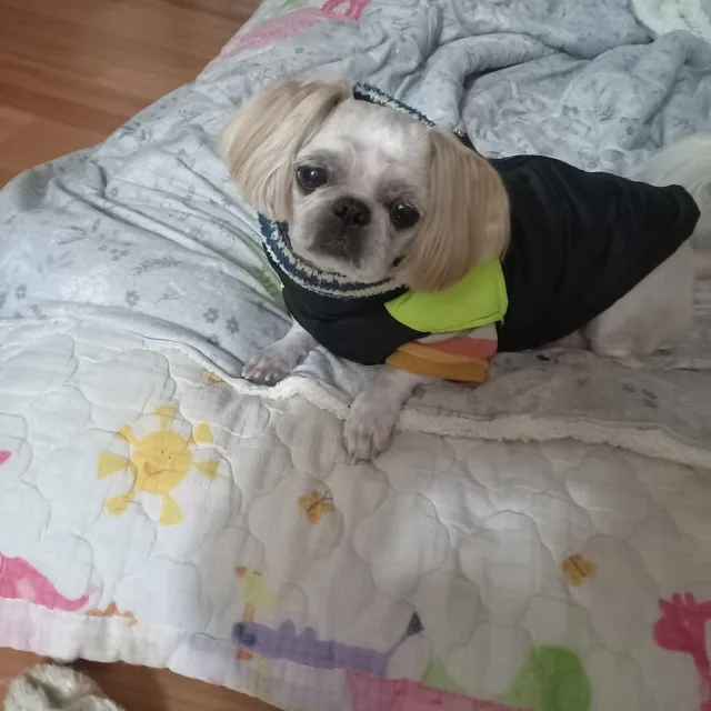 난이러브