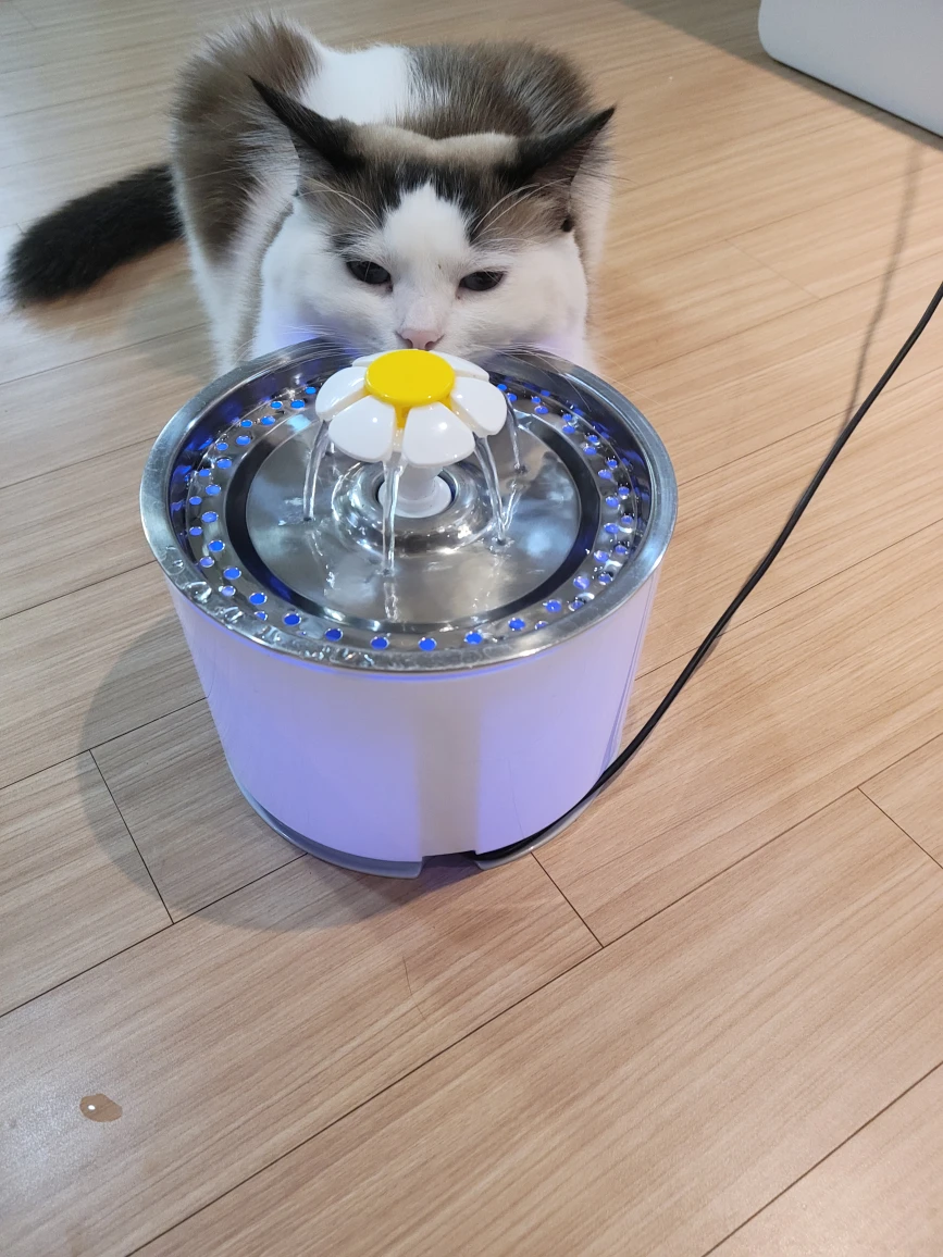 레몬72펜타여
