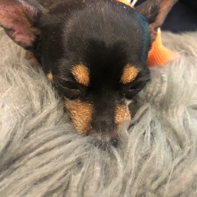 profile