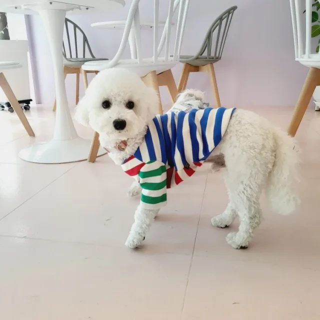 마마랜서