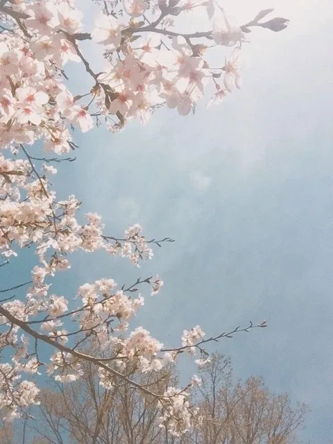 뽀롱뽀롱