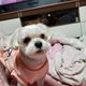 산다