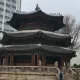 콩콩이맘