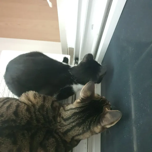 손수뷰티살롱