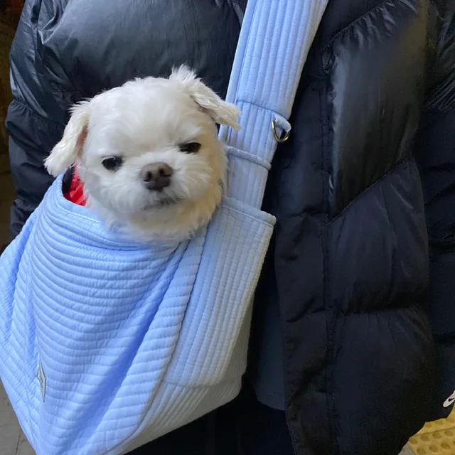 정병사