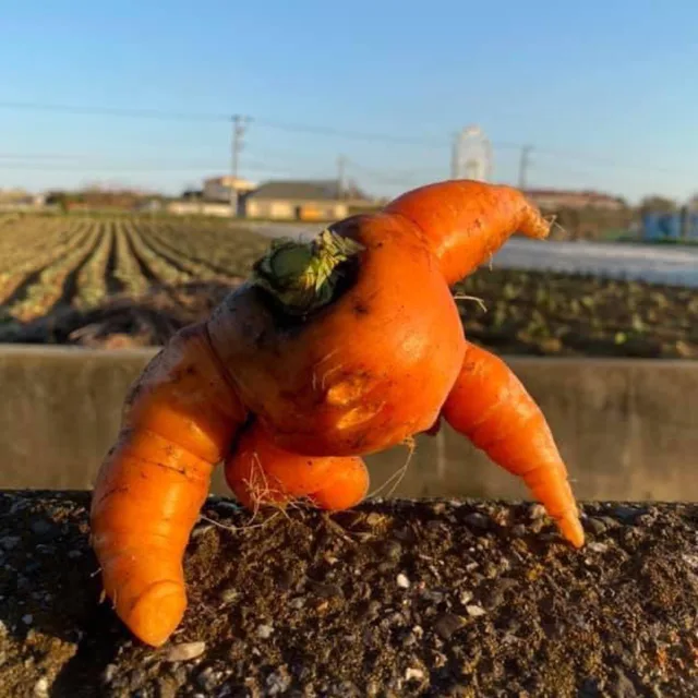 만수무강
