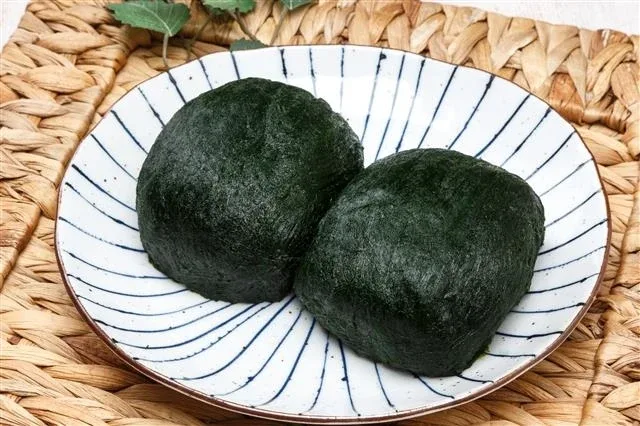 매생이감태파래
