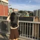 우니
