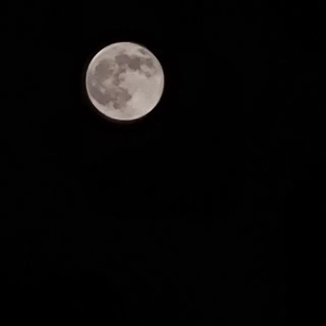옆집아저씨