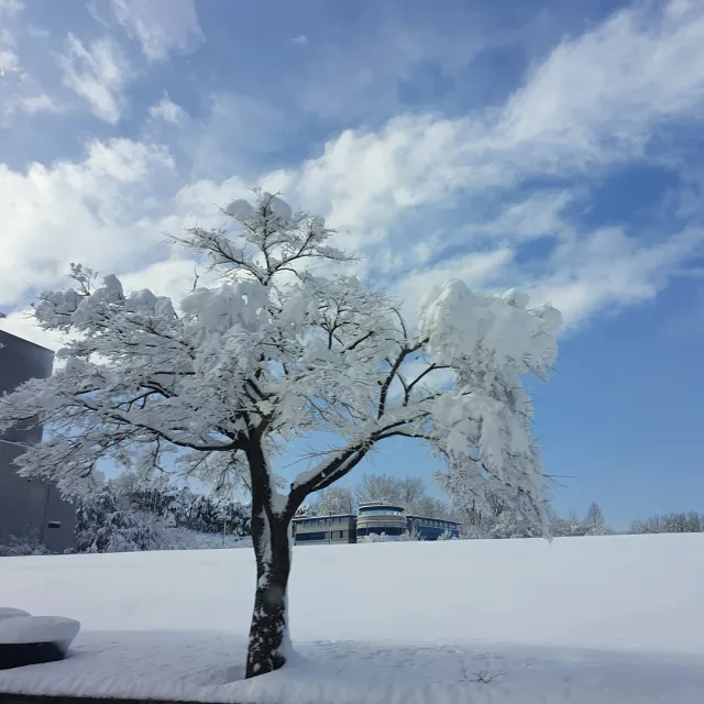 당근빵