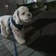짜장삼천그릇