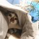 가을가을