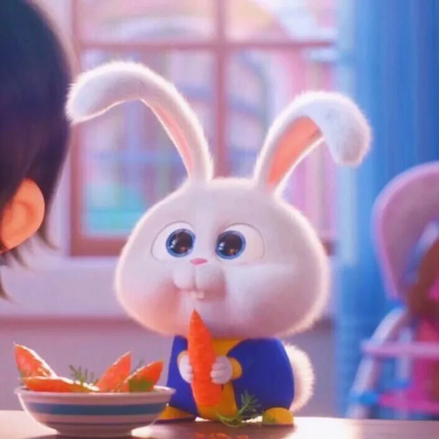 바니바니바니바니당근당근
