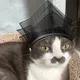 최솁