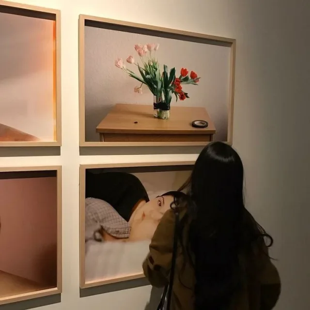 팡팡