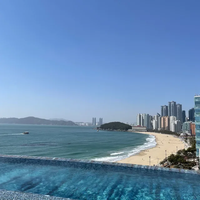 서준희