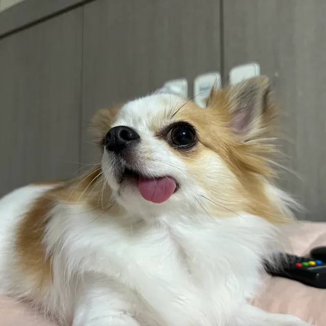 잉잉