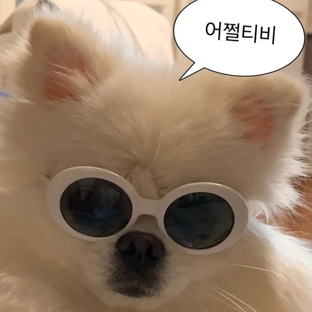 공포의쓴맛