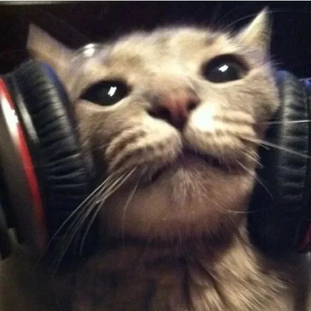 거지