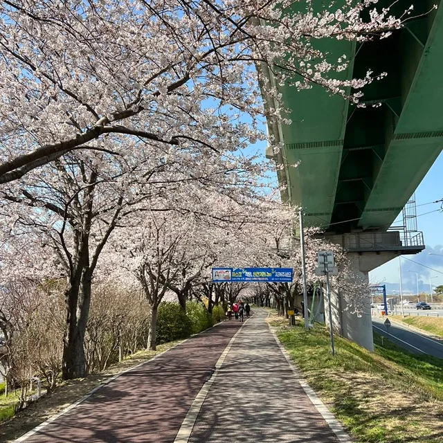 또란스
