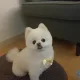 숙부인