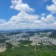하하하