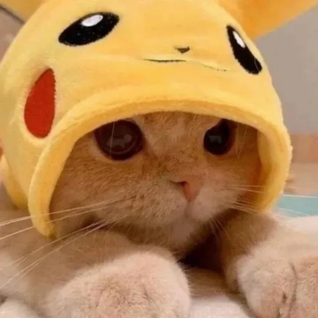 하늘e