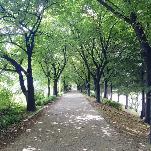 돌핀21