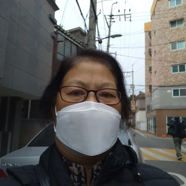 소나무