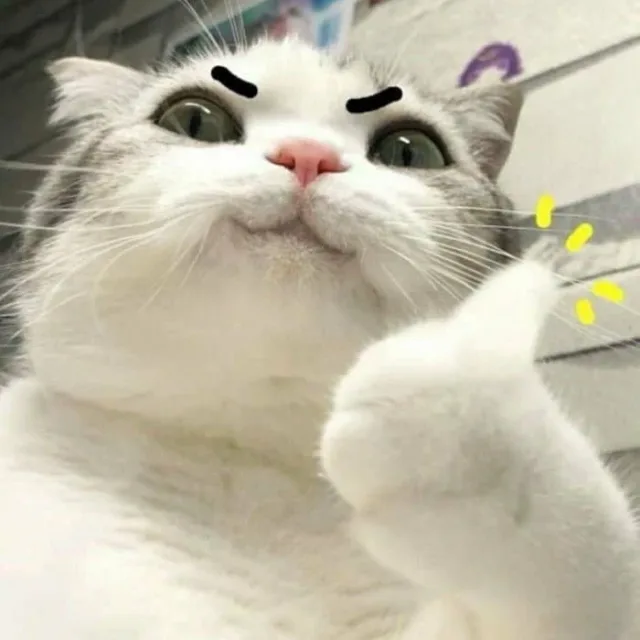 복스러운날