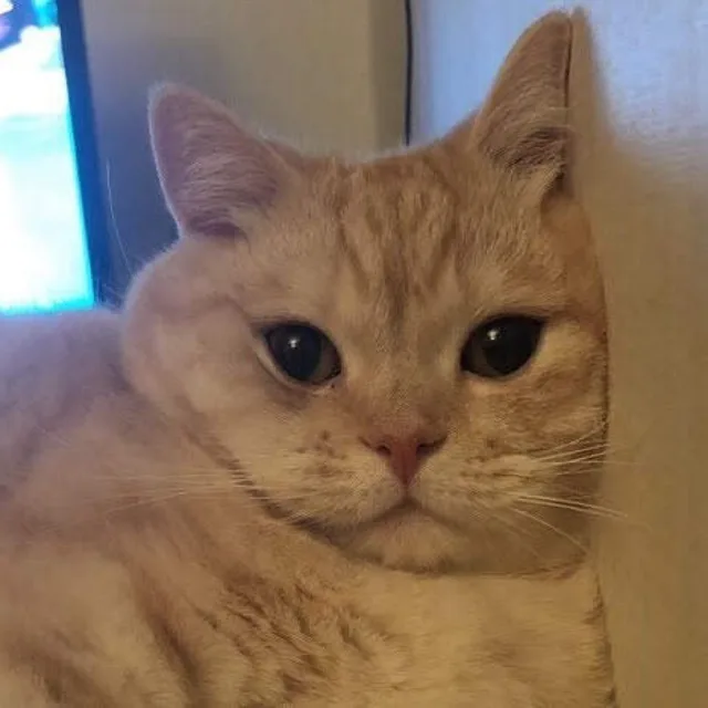 문구