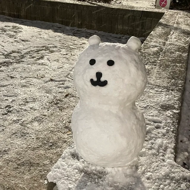 쪼꼬볼