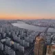 땅꾼