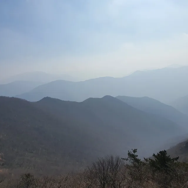 윌리