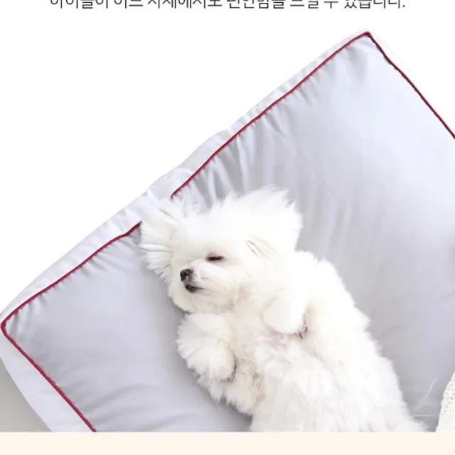 엘라