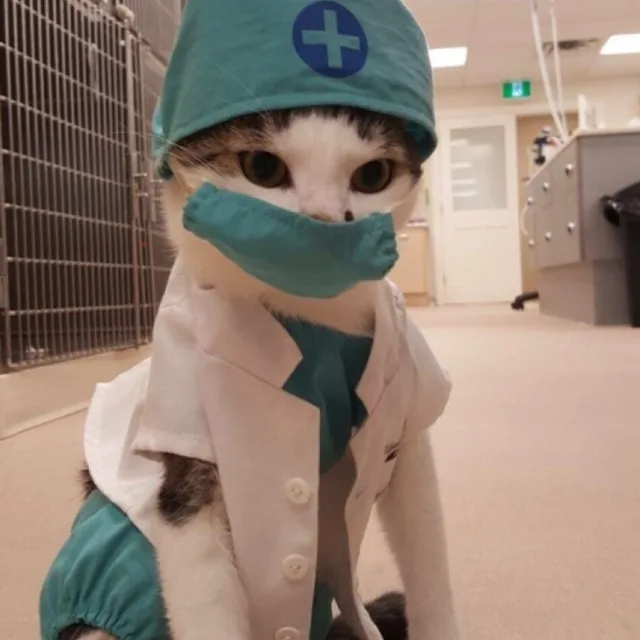 지지
