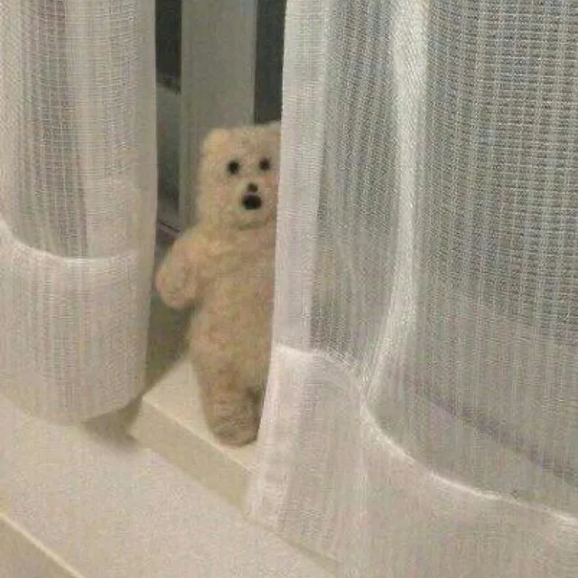 봉봉