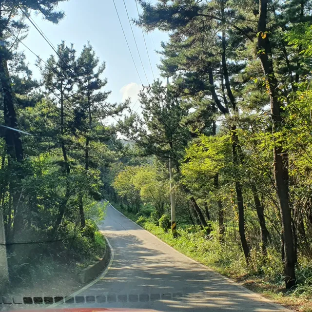 로즈